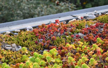 the cost of Linthurst green roof installation