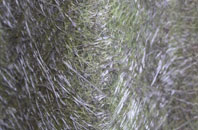 Linthurst fibreglass roof work